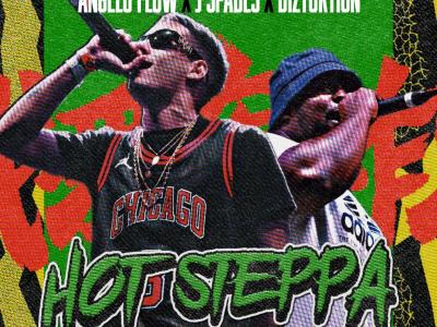 hotsteppa album cover