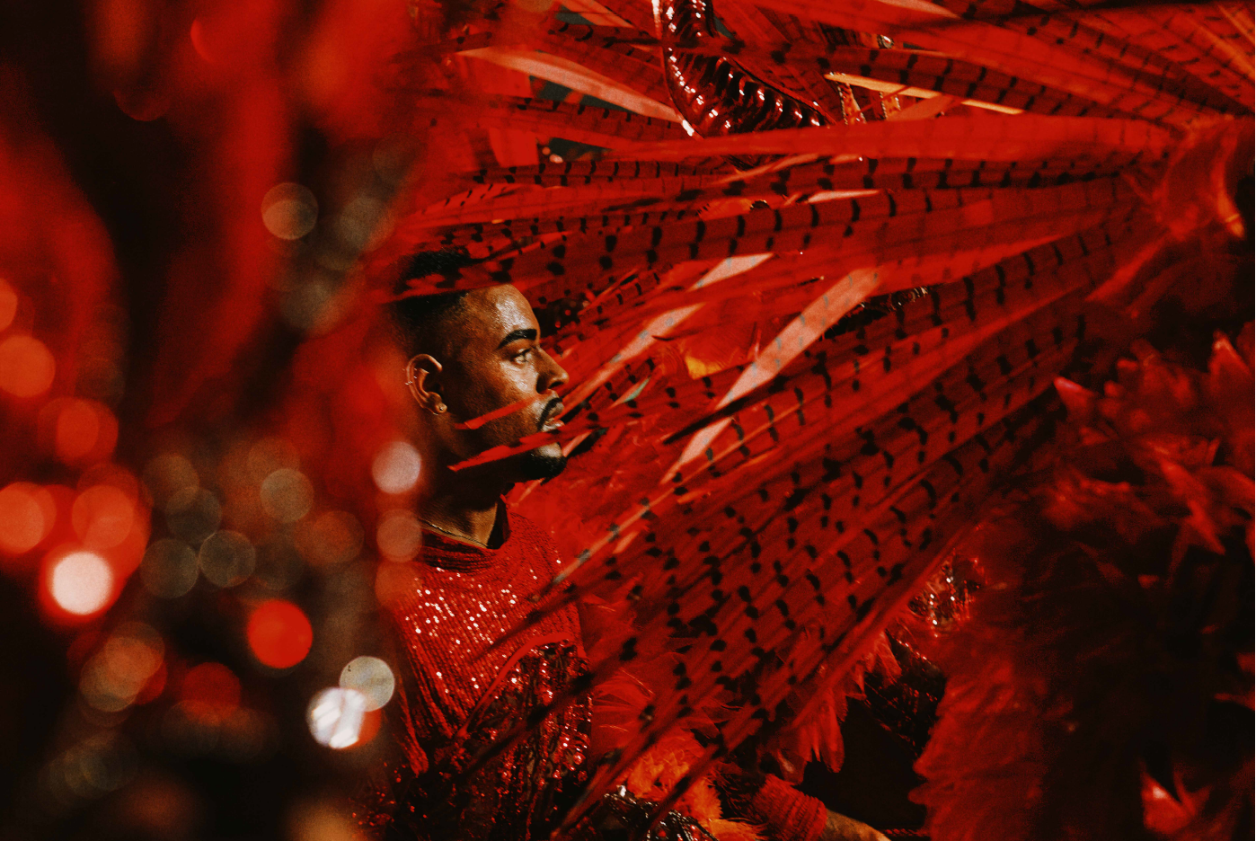 Carnival in Rio de Janeiro