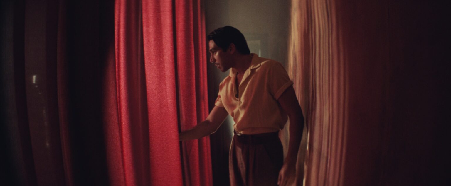 Narciso (2026)  Martinessi