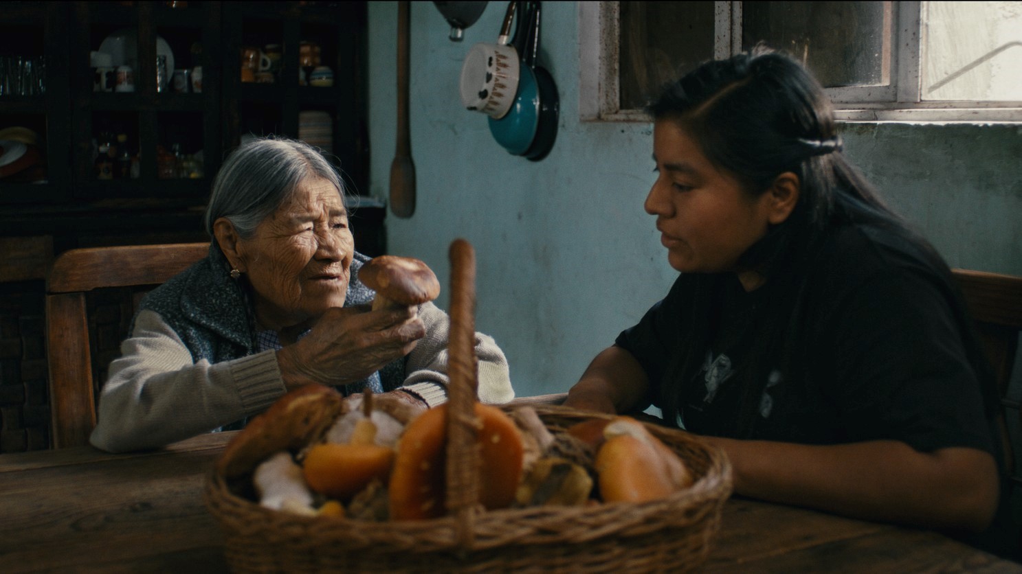 Daughters of the Forest