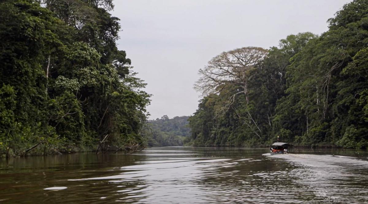Amazon headwaters Clement Guerra.jpg