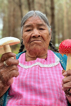 Daughters of the Forest 2