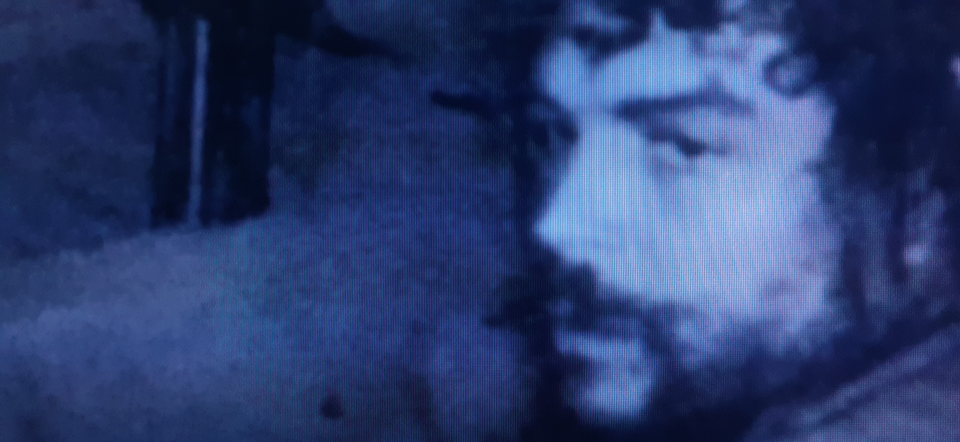Che Guevara moments before his death