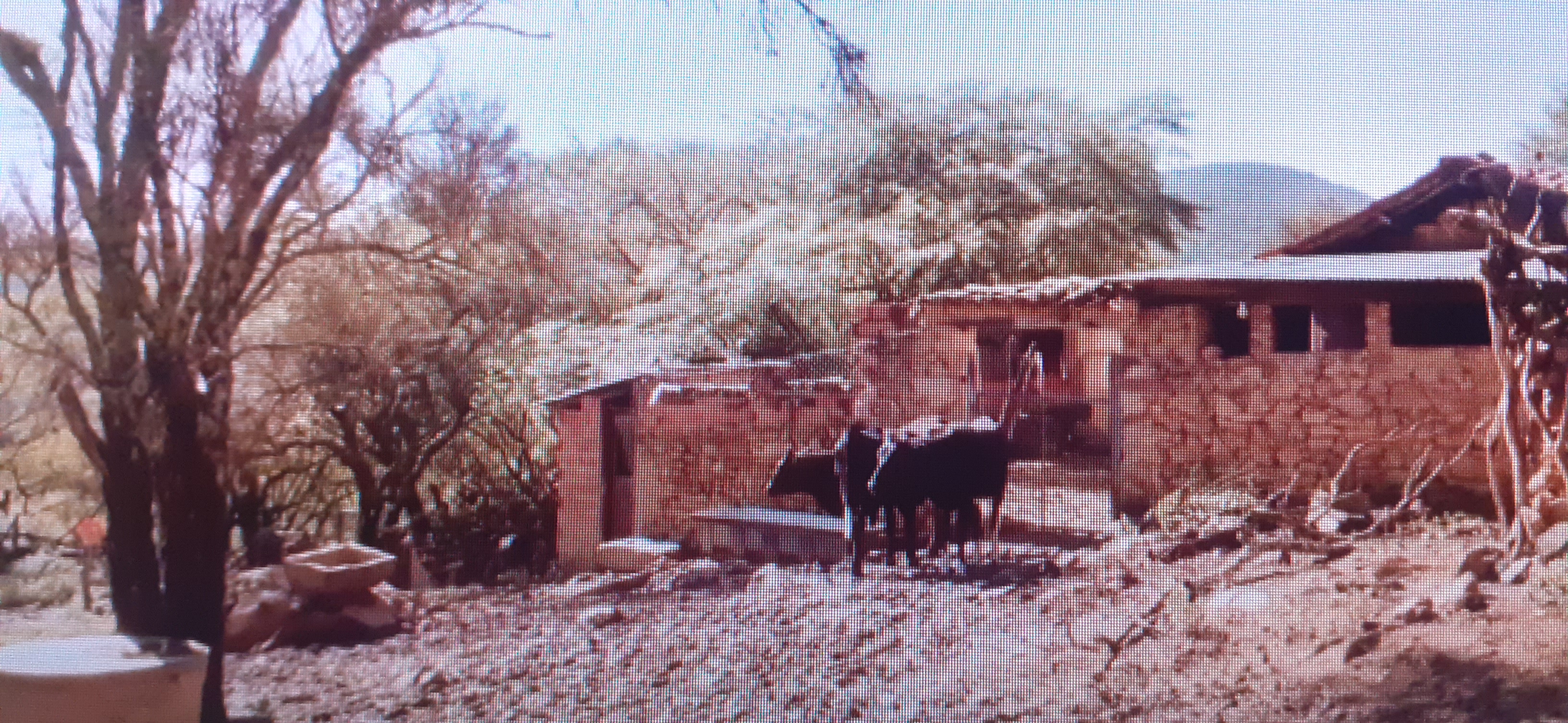 Don Victor's farm