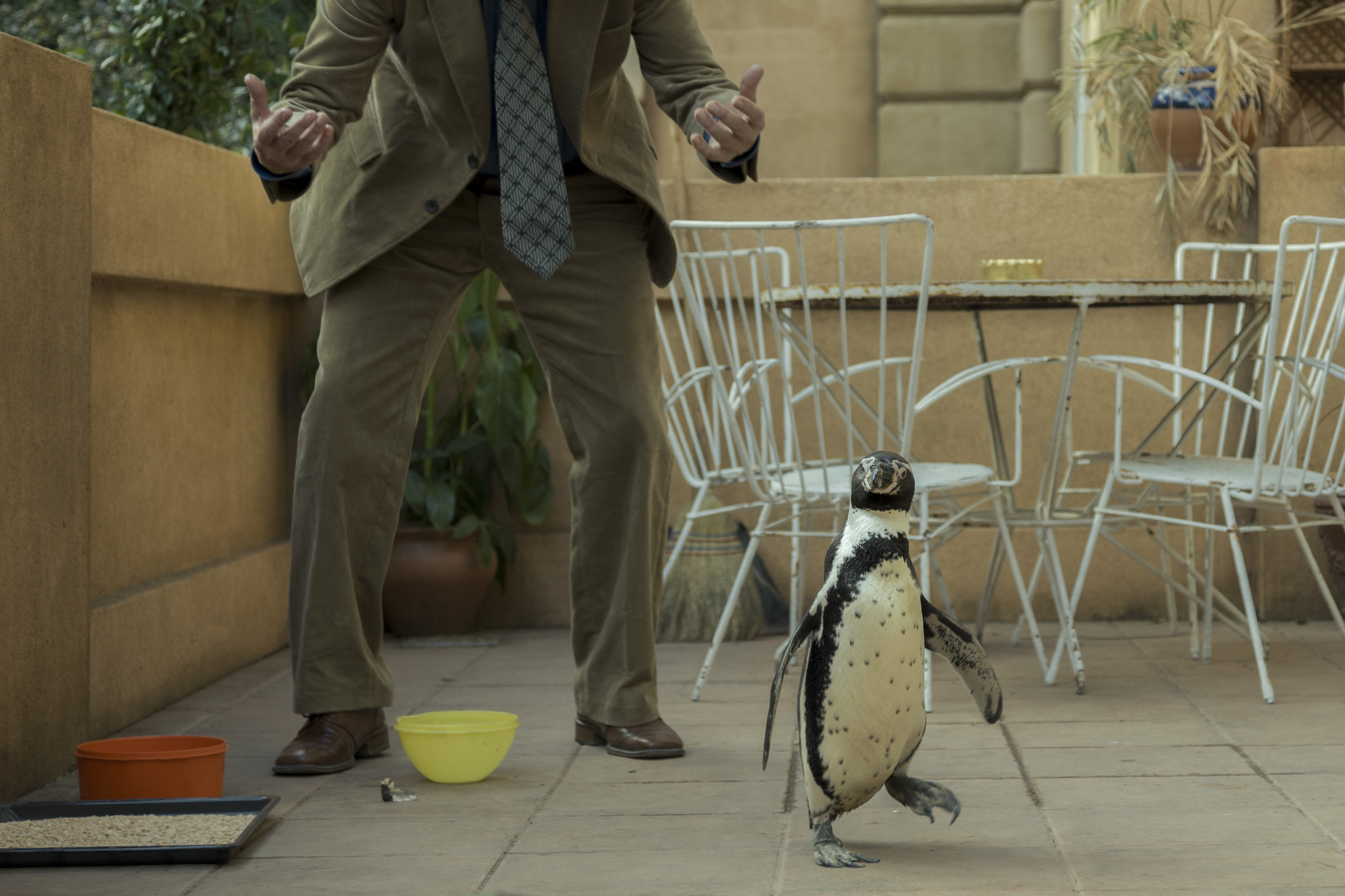Steve Coogan with Juan Salvador 1