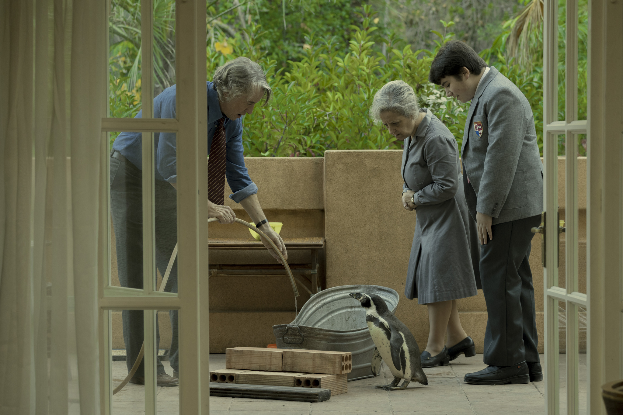 The Penguin Lessons 6