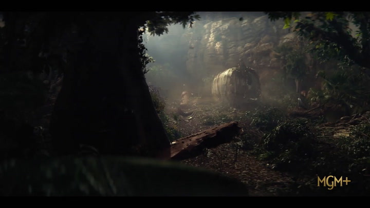 Nine bodies in a Mexican Morgue 