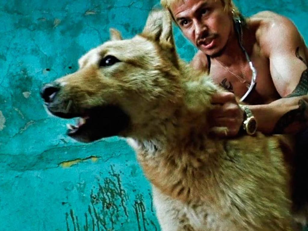 Gustaco Sanchez Parra as Jarocho with dog