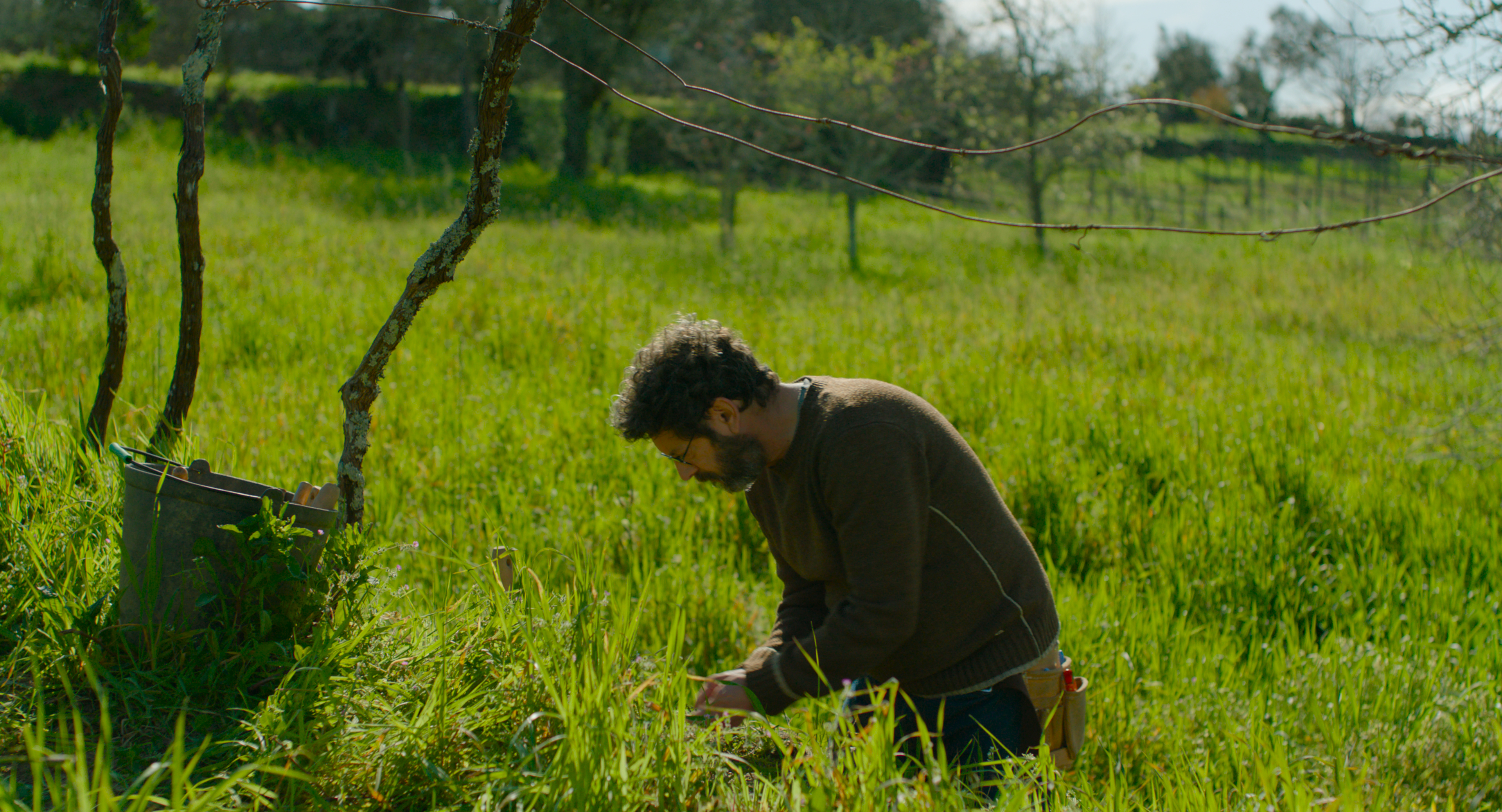 Manolo Solo as Manoel