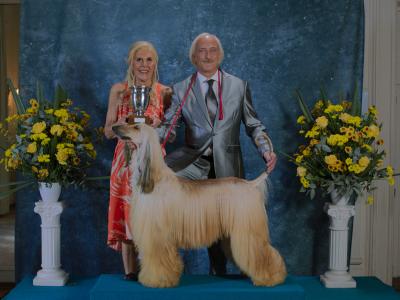 Prince 2026 Fernando Borgia