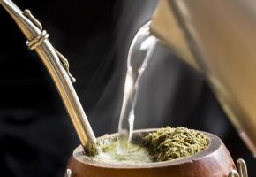 Mate drinks 1