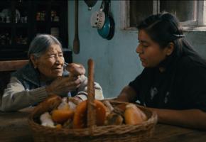 Daughters of the Forest