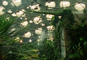 Tropical Fractals 2026- 
