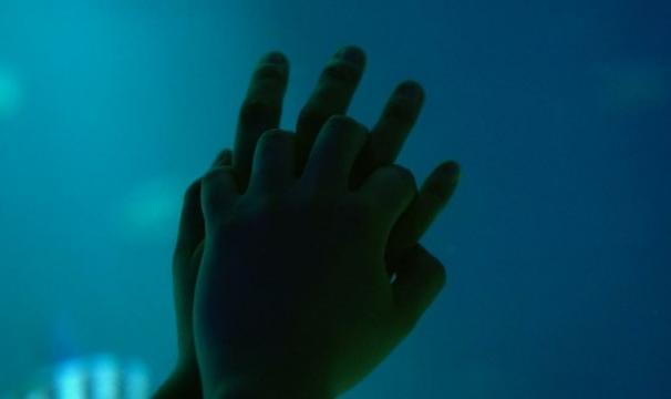 The Silence of my Hands ( 2024)