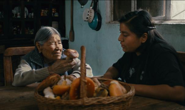 Daughters of the Forest