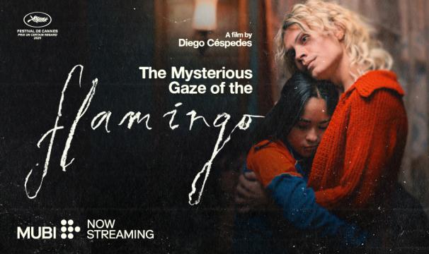 flamingo