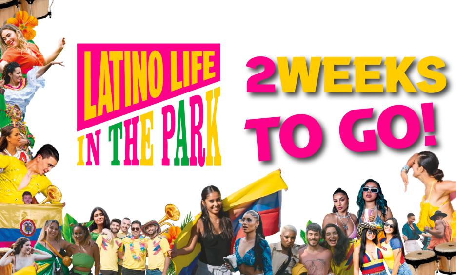 2 weeks